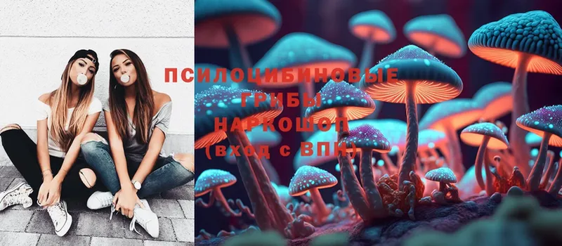 Галлюциногенные грибы Cubensis  Кубинка 